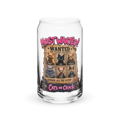 Most Wanted 16oz Can Glass